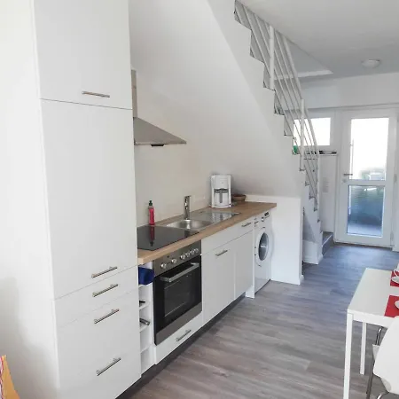 Appenzeller, A , Dangaster Tied 3