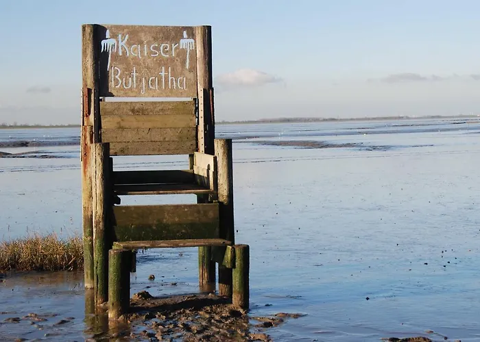 Appenzeller, A , Dangaster Tied 3